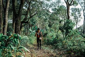 BIB: 
                            <button type="button" onclick="openModal(25660623)" class="btn btn-primary btn-sm float-right btn-popup" data-toggle="modal" data-target=".modal-high-quality">
                        <i class="fas fa-shopping-cart"></i> Add to Cart
                    </button>
                                            <button type="button" onclick="isThisMe(25660623, true)" class="btn btn-success btn-sm float-right btn-popup btn-isme hidden" data-toggle="tooltip" data-placement="bottom" title="นี่คือรูปของคุณใช่ไหม คลิกที่นี่เพื่อเอาเข้าอัลบั้ม">
                        <i class="fas fa-plus"></i> Add to album
                    </button>
                    <button type="button" onclick="isThisMe(25660623, false)" class="btn btn-warning btn-sm float-right btn-popup btn-isnotme hidden">
                        <i class="fas fa-ban"></i> Remove from album
                    </button>